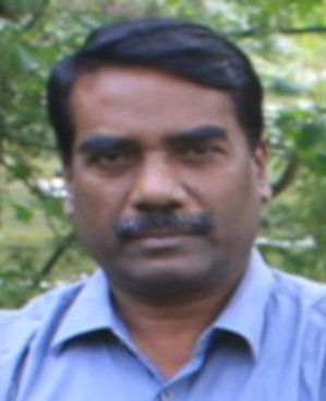 P Thamizoli